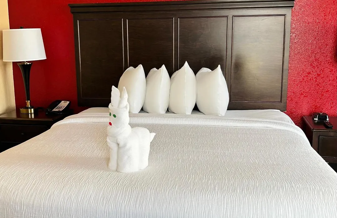 Pier House 60 Clearwater Beach Marina Hotel-1